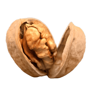 Premium Walnuts (Akhrot) – 500g